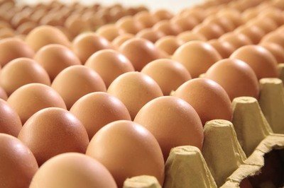 四平鸡蛋检测价格,鸡蛋检测机构,鸡蛋检测项目,鸡蛋常规检测